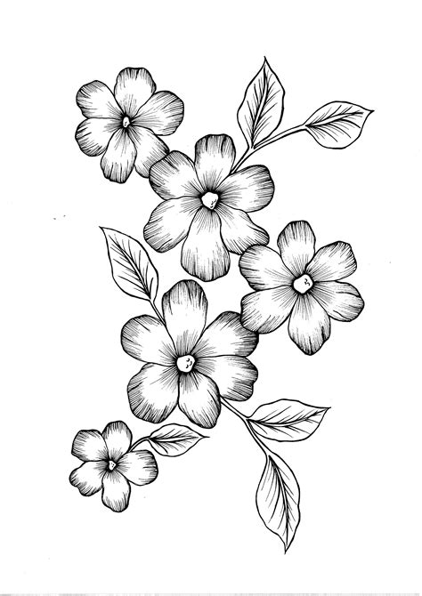 Wild Flowers PDF Coloring Page - Etsy