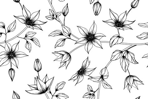 Hand Drawn Clematis Flower Pattern 962982 Vector Art at Vecteezy