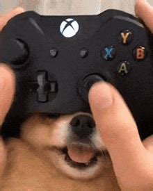 Dog Joystick GIF - Dog Joystick Funny Dog - Discover & Share GIFs