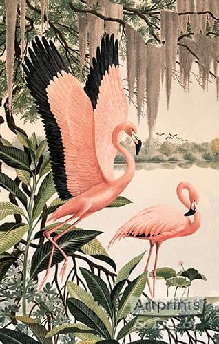 Pink Flamingos Art Print of Vintage Art 15 X 24 Image Size - Etsy