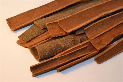 Free photo: Cinnamon bark - Aroma, Flavouring, Tree - Free Download - Jooinn