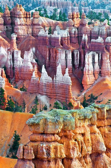 USA, Utah Hoodoo Formations In Bryce Photograph by Jaynes Gallery - Fine Art America