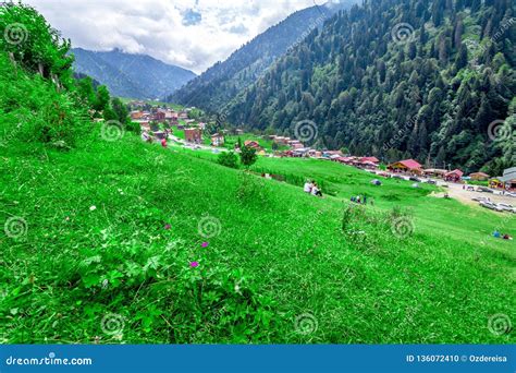 Landscape View of Ayder Plateau in Rize,Turkey Stock Photo - Image of ...