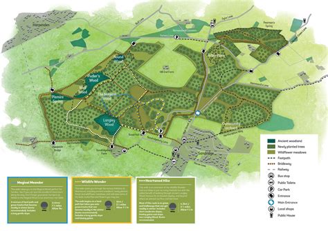 Walking at Heartwood Forest | The Woodland Trust