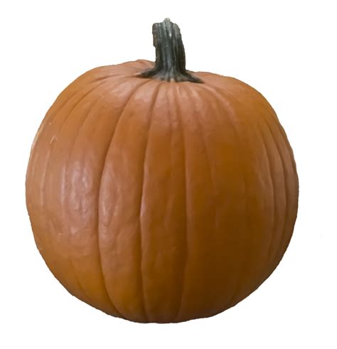 Pumpkin PNG