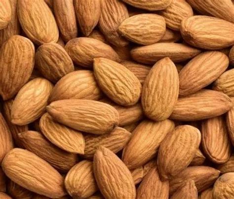 california almonds - Almonds California Manufacturer from Kanpur