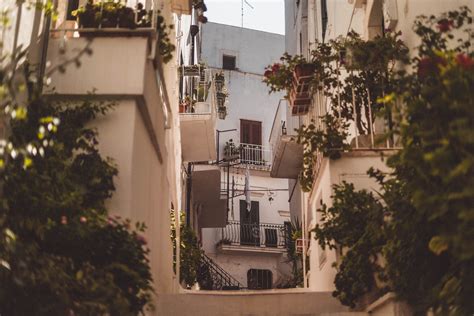 A Guide to the Best Things to do in Ostuni, Puglia | solosophie