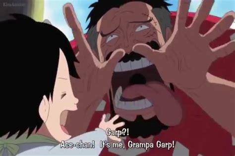 RELATIONSHIP BETWEEN MONKEY D GARP AND PORTGAS D ACE