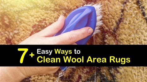 7+ Easy Ways to Clean Wool Area Rugs