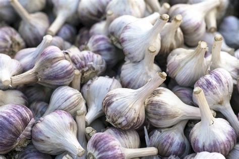 Garlic and Gastritis | Livestrong.com