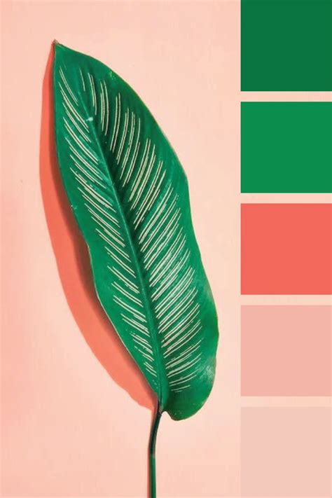 Green & Coral Color Palette in 2023 | Coral colour palette, Green ...