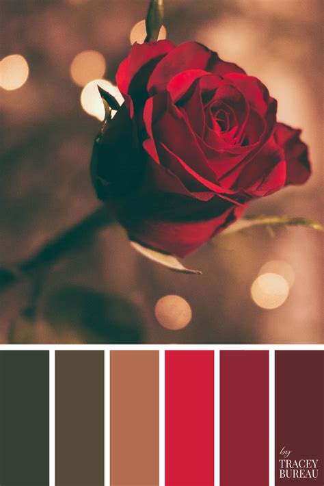 Red Rose | Color Palette | Colour Palette | Color Theme | Colour Theme ...