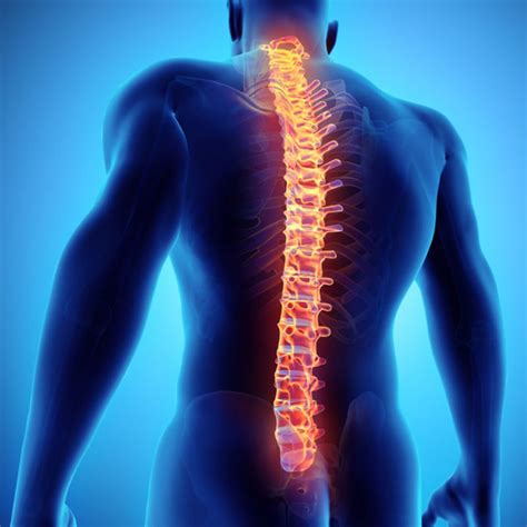 Milwaukee Back Pain Doctor | Back Specialist | Spinal Decompression