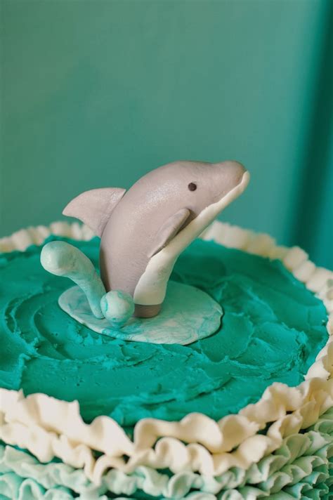 Sugar & Company: Dolphin Cake