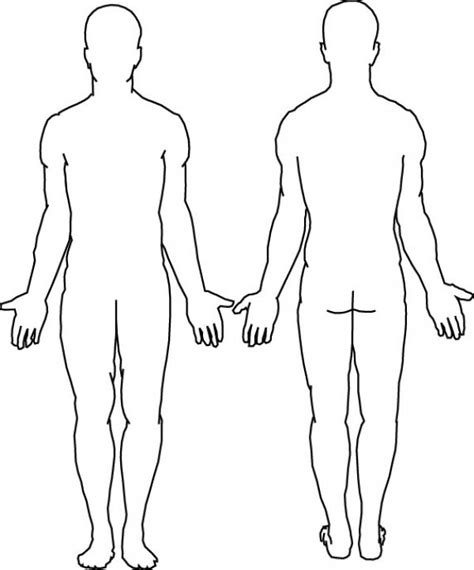 Medical Human Body Outline Drawing at GetDrawings | Free download