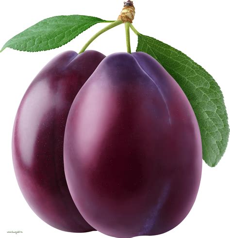 Top more than 64 plum logo png best - ceg.edu.vn