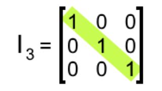 What is an identity matrix? | StudyPug