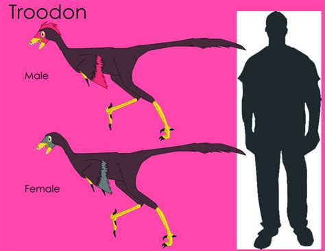 Troodon Size Comparison by LouJunior on DeviantArt