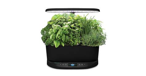 AeroGarden Bounty Basic | Best Top-Rated Products From Bed Bath ...