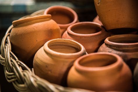 From Ancient Pottery To Contemporary Planters: A Potted History Of ...