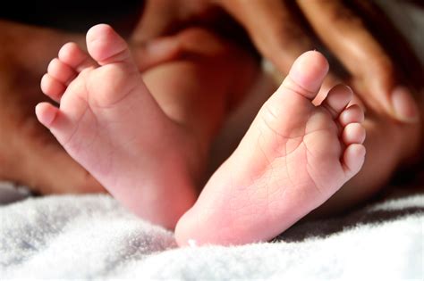 new life, close-up, small, human toe, child, human, human hand, innocence, little, softness ...