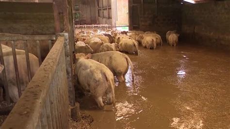 Inondations dans le Pas-de-Calais : la détresse d'un agriculteur