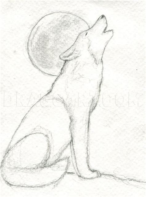 How To Draw A Howling Wolf