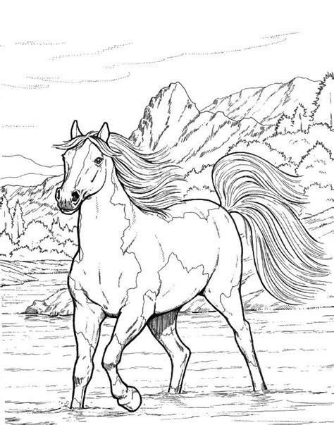 Horse Coloring Pages for Adults - Best Coloring Pages For Kids