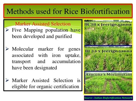 Breeding for biofortification in cereals.