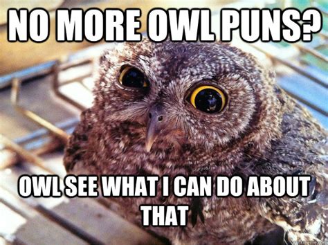 No more owl puns? Owl see what I can do about that - Skeptical Owl ...