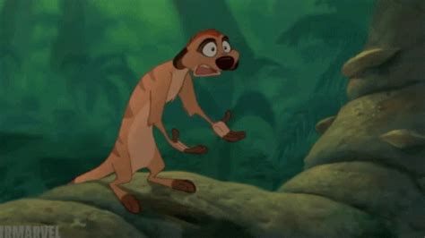 Lion King Timon GIF - LionKing Timon Wtf - Discover & Share GIFs