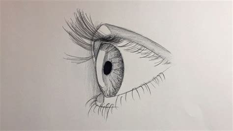 How to draw an eye for beginners (side view) - Alpha Art HD