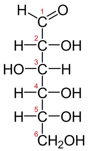 Chemical Makeup Of Glucose - Mugeek Vidalondon