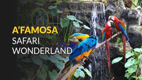 A Famosa Safari Wonderland : A'famosa safari wonderland in melaka ...