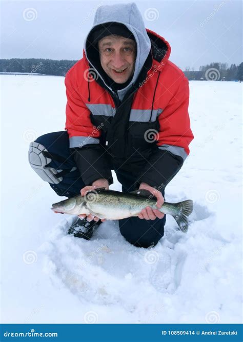 The Adult Man Smiles and Shows the Newly Caught Pike Perch. Stock Photo ...