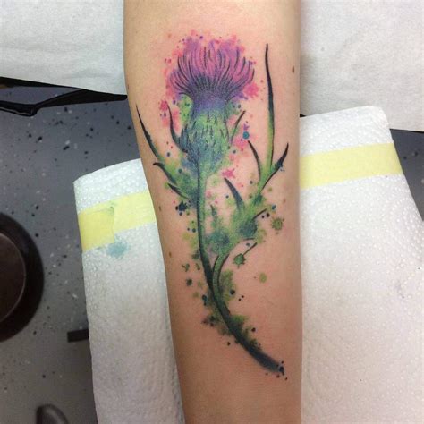 Scottish Thistles Tattoos Designs Scottish Thistles Tattoos Ideas ...