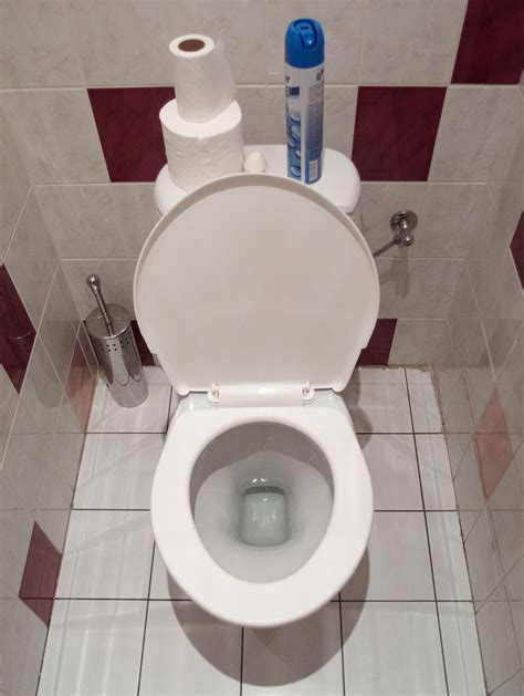 White toilet bowl - Free Stock Photos ::: LibreShot