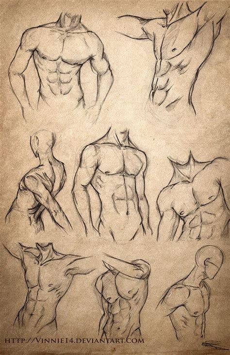 20 Human Anatomy Drawing Ideas and Pose References - Beautiful Dawn ...