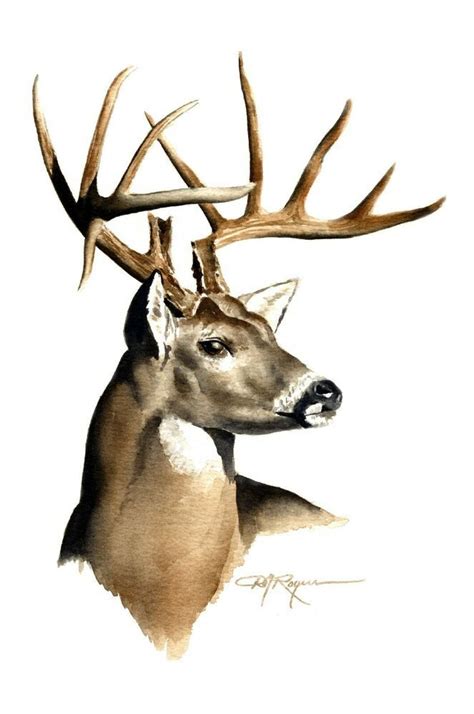 WHITETAIL BUCK Deer Wildlife Watercolor 8 x 10 Art Print by Artist DJ Rogers #fashion #home # ...