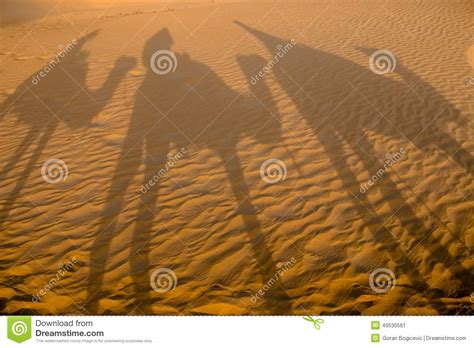 Camels stock image. Image of adventure, ripple, sahara - 49530561