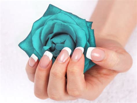 Female Hand with Perfect French Manicure Stock Image - Image of fresh, delicate: 85261327