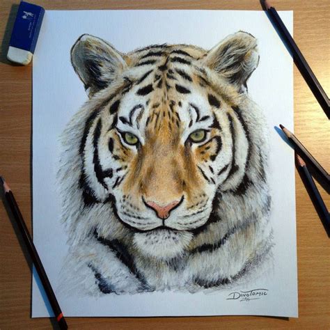 Pin de Sharon Pritchard en drawing animals | Lapices de colores dibujos ...