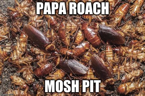 moshpit Memes & GIFs - Imgflip