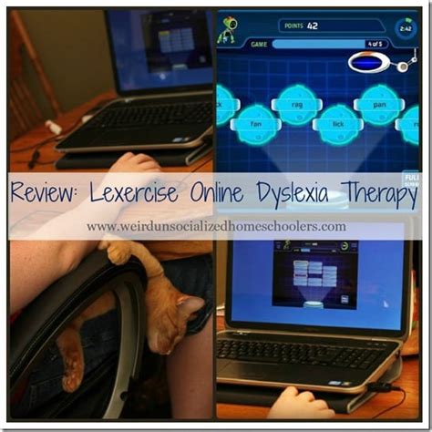 Review: Lexercise Online Dyslexia Therapy - Weird, Unsocialized Homeschoolers