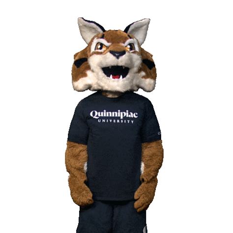 College Mascot Sticker by Quinnipiac University for iOS & Android | GIPHY