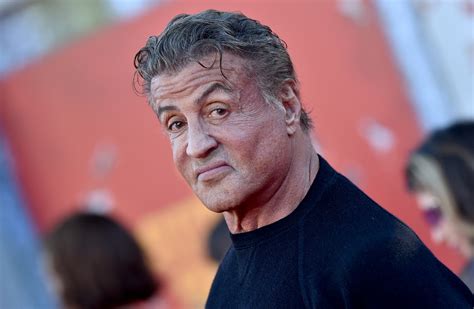 Sylvester Stallone Excites QAnon by Wearing Q Hat, 'Into the Storm' Remark - Newsweek