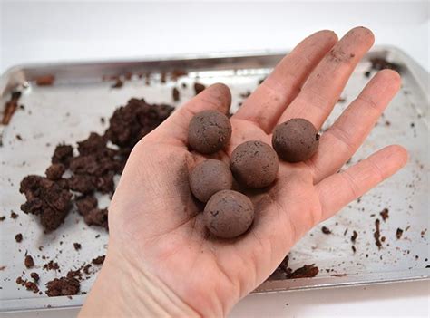 How to Make Seed Bombs - Dream a Little Bigger