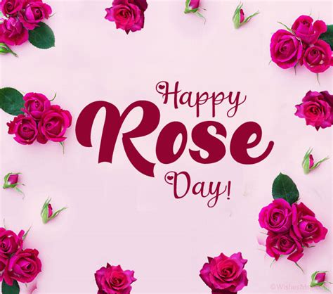 100+ Rose Day Wishes, Messages and Quotes | WishesMsg