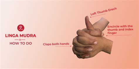 Linga Mudra: How To Do, Benefits, Precautions, And More, 44% OFF