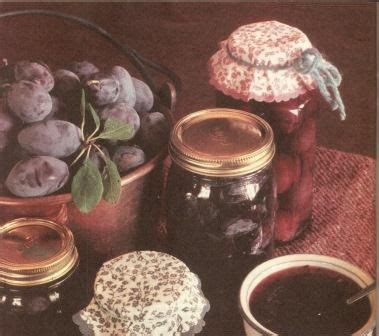 Make an Easy Wild Plum Jelly - Real Food - MOTHER EARTH NEWS | Plum jelly, Plum jelly recipes ...